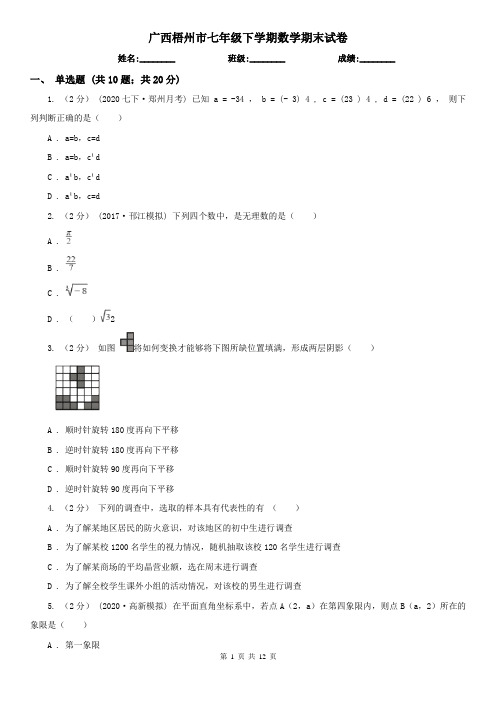 广西梧州市七年级下学期数学期末试卷