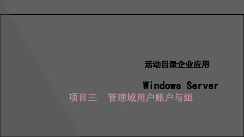 Windows Server活动目录企业应用Windows Server管理域用户账户和组