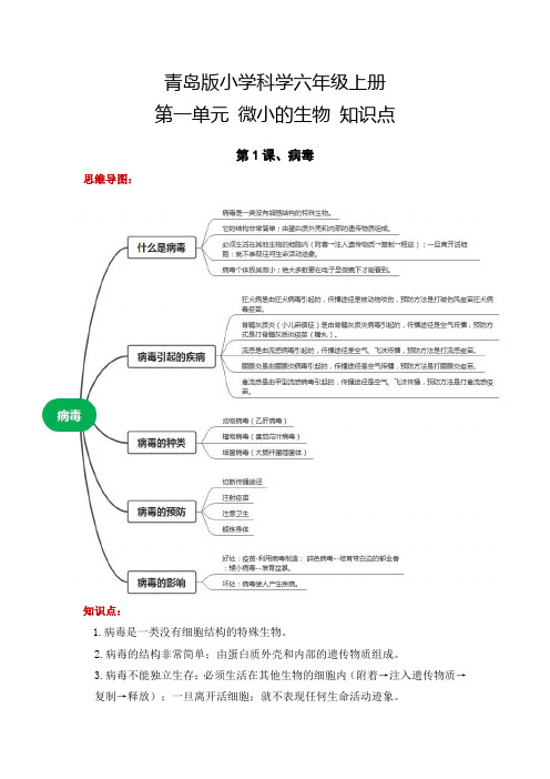 第一单元遗传和变异(知识点总结)-六年级科学上册单元速记巧练(青岛版)