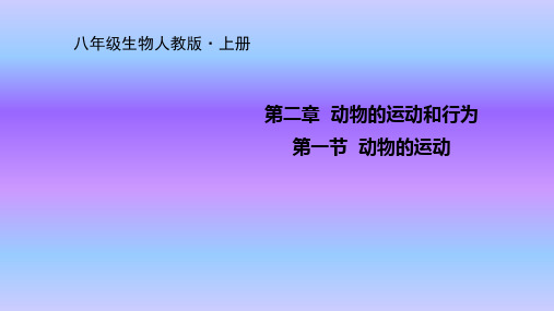 人教八年级上册生物课件第五单元第二章第一节动物的运动课件