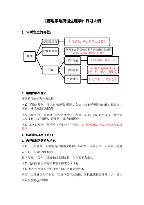 《病理学与病理生理学》考试大纲(1)