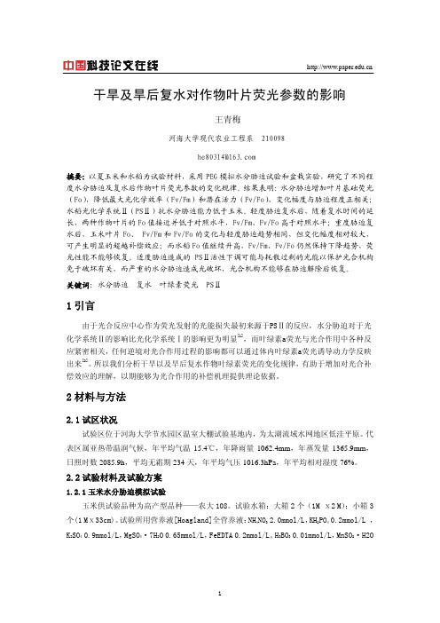 干旱及旱后复水对作物叶片荧光参数的影响