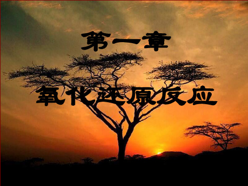 人教版高中化学必修一第二章第三节氧化还原反应 课件(共23张PPT) (2)