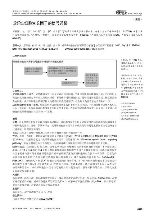 成纤维细胞生长因子的信号通路