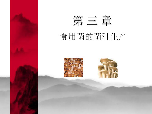 食用菌的菌种生产.ppt