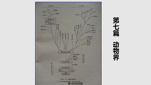 普通生物学1PPT课件