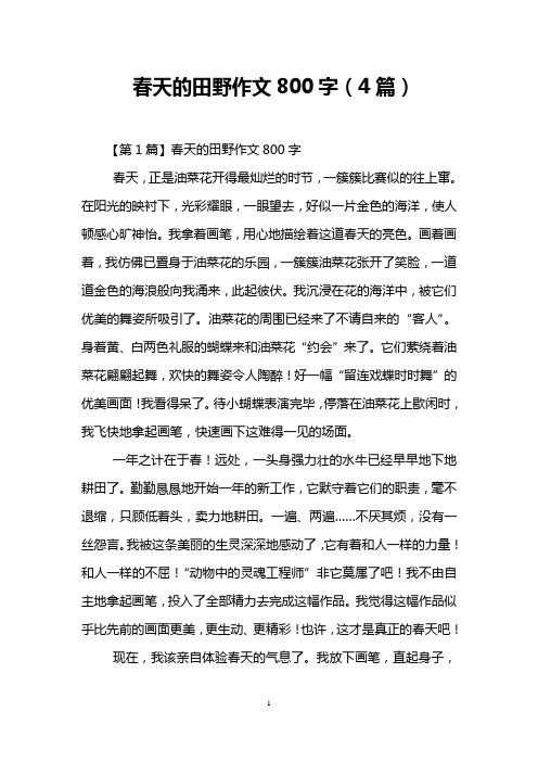 春天的田野作文800字(4篇)