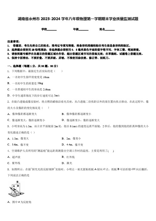 湖南省永州市2023-2024学年八年级物理第一学期期末学业质量监测试题含答案