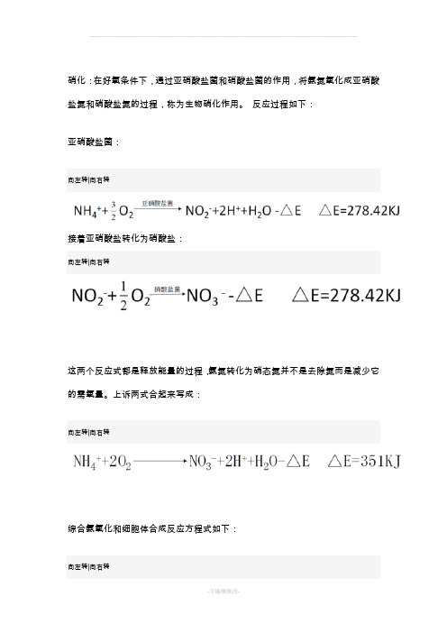 硝化与反硝化