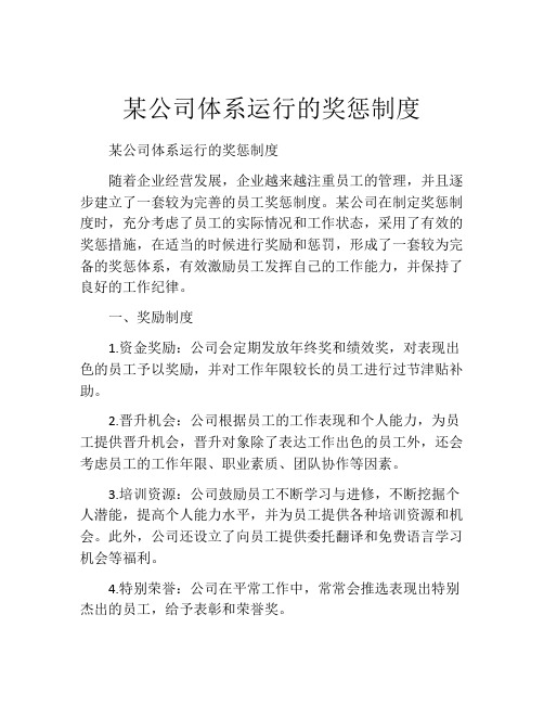 某公司体系运行的奖惩制度