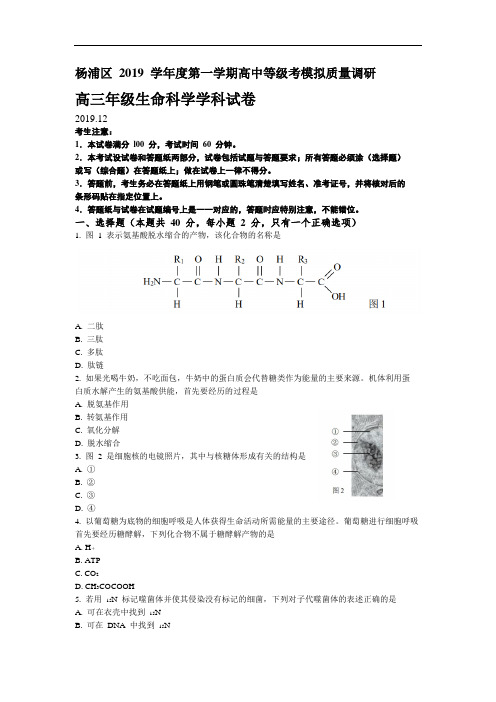 2020生物等级考杨浦区一模试卷和参考答案