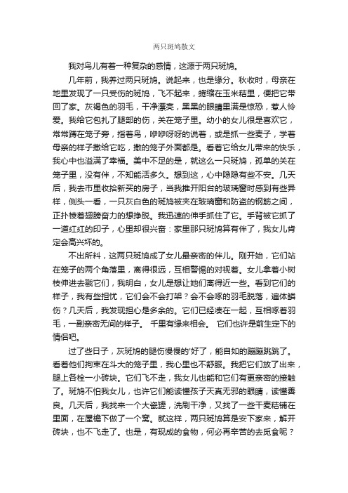 两只斑鸠散文