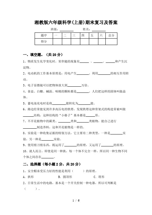 湘教版六年级科学(上册)期末复习及答案