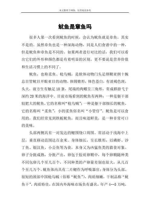 鱿鱼是章鱼吗