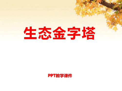 湘教版语文五上《生态金字塔》PPT课件