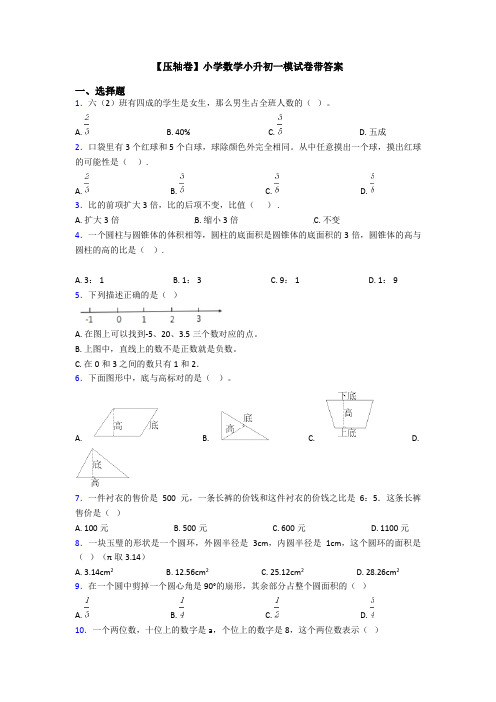 【压轴卷】小学数学小升初一模试卷带答案