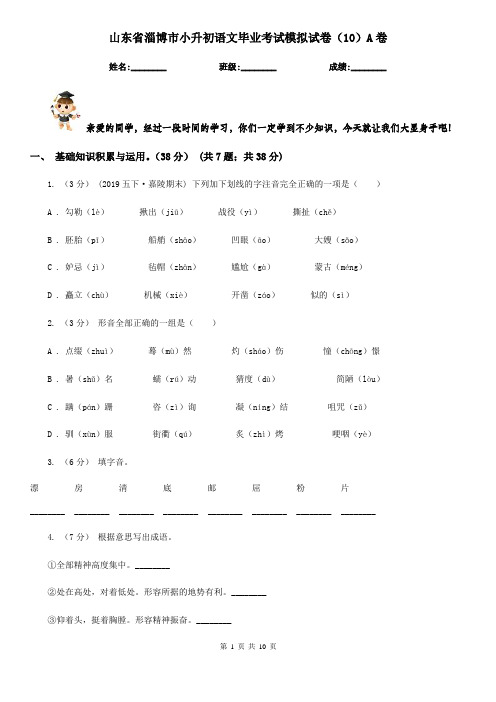 山东省淄博市小升初语文毕业考试模拟试卷(10)A卷