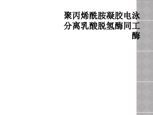 聚丙烯酰胺凝胶电泳分离乳酸脱氢酶同工酶