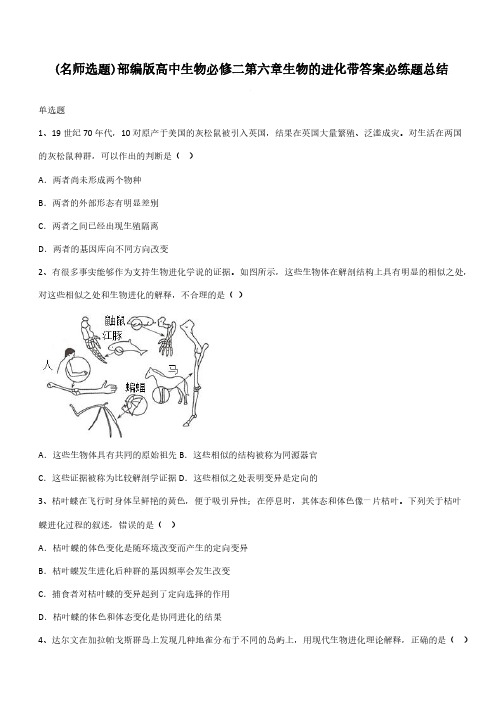 部编版高中生物必修二第六章生物的进化带答案必练题总结