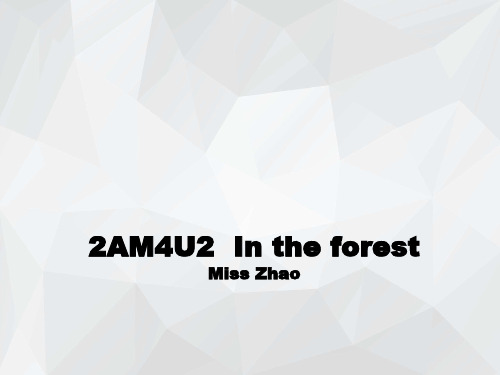 牛津上海版深圳二上Unit11Intheforest课件2