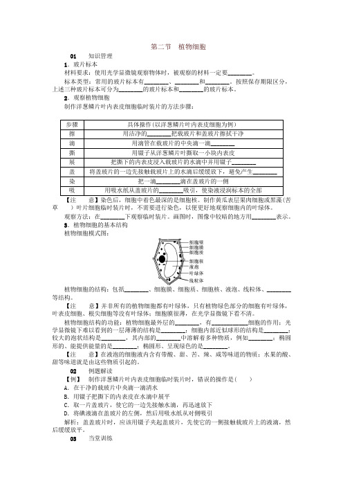 【推荐】最新人教版七年级生物上册02第二节 植物细胞 试题及答案