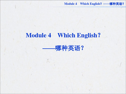 2013届高考英语外研版一轮总复习课件：选修八Module4