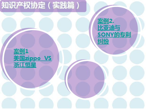 TRIPS知识产权案例 PPT