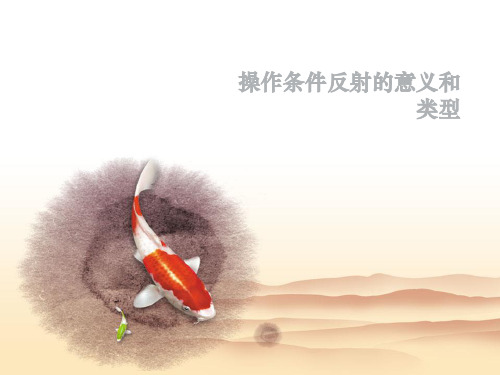 操作条件反射的意义和类型