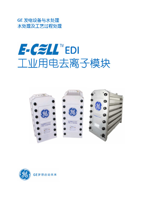 GE EDI 2015版(工业用电去离子模块)