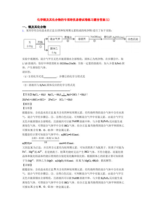 化学镁及其化合物的专项培优易错试卷练习题含答案(1)