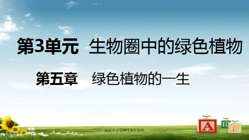 七年级生物上册第三单元第五章第二节植物根的生长课件新版苏教版