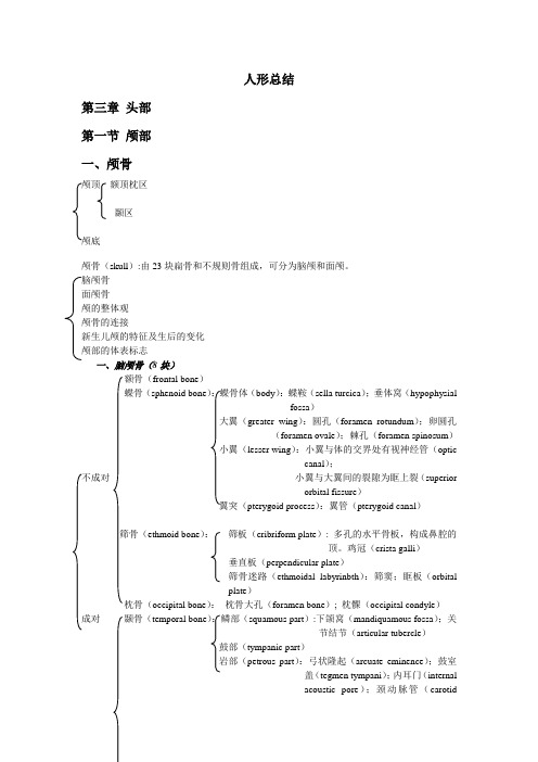 人体形态学知识点总结