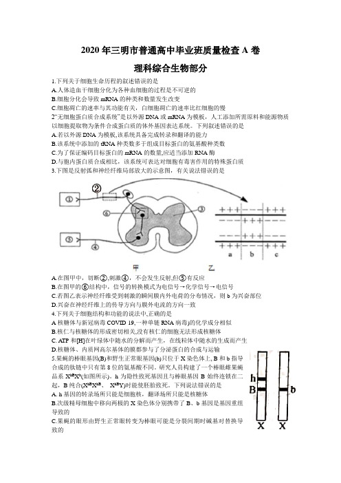 福建省三明市2020届高三普通高中毕业班质量检查(5月)生物试题 (含答案)