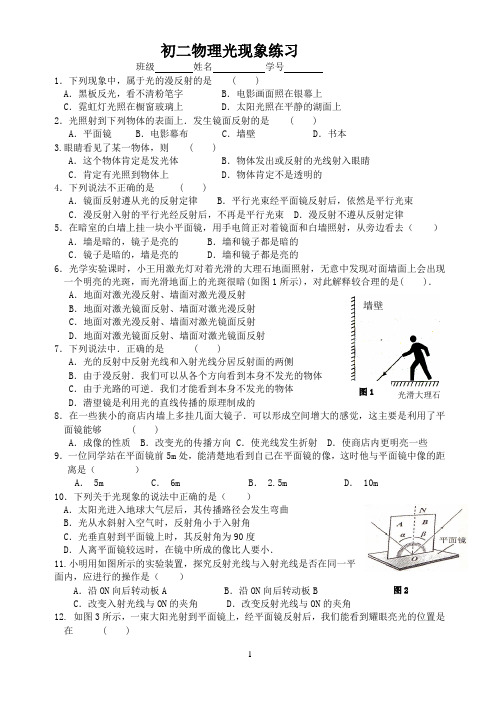 苏科版初中物理八年级上册第三章光现象练习 (无答案)