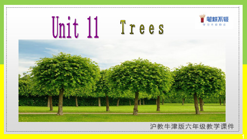 沪教牛津版英语六年级上册Unit 11 Trees