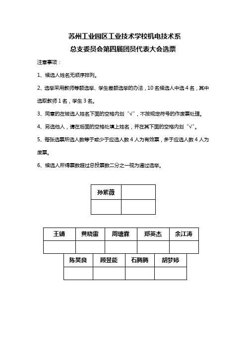 选票(大红色、粉色各一套)