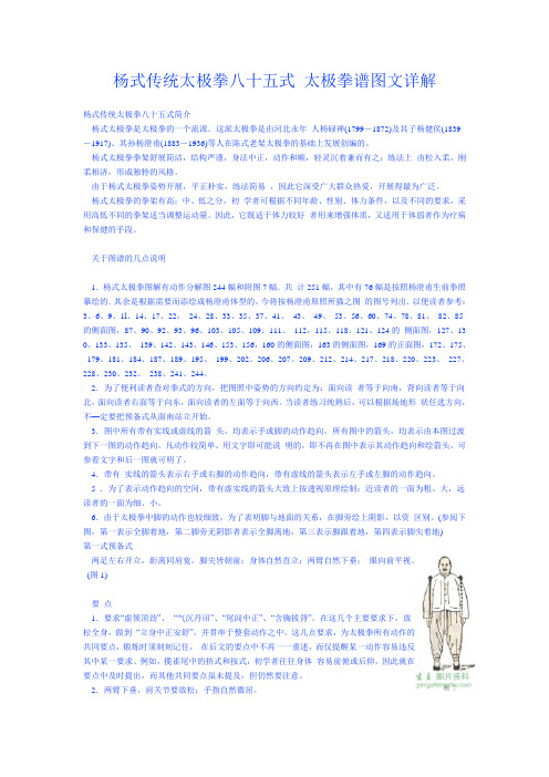 杨式传统太极拳八十五式 太极拳谱图文