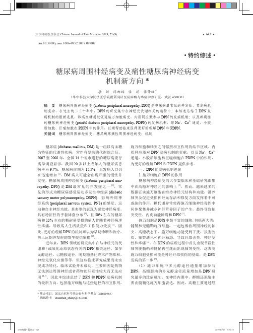 糖尿病周围神经病变及痛性糖尿病神经病变机制新方向