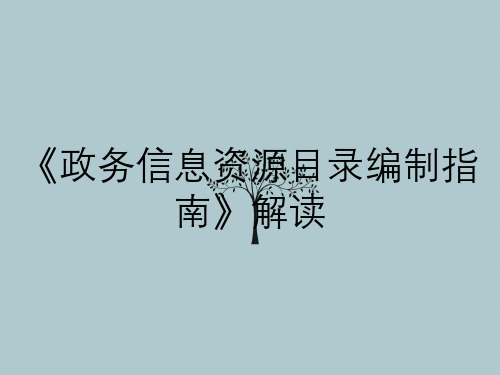 《政务信息资源目录编制指南》解读