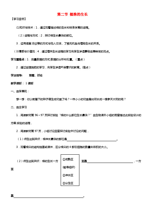 七年级生物上册 3.2.2 植株的生长学案