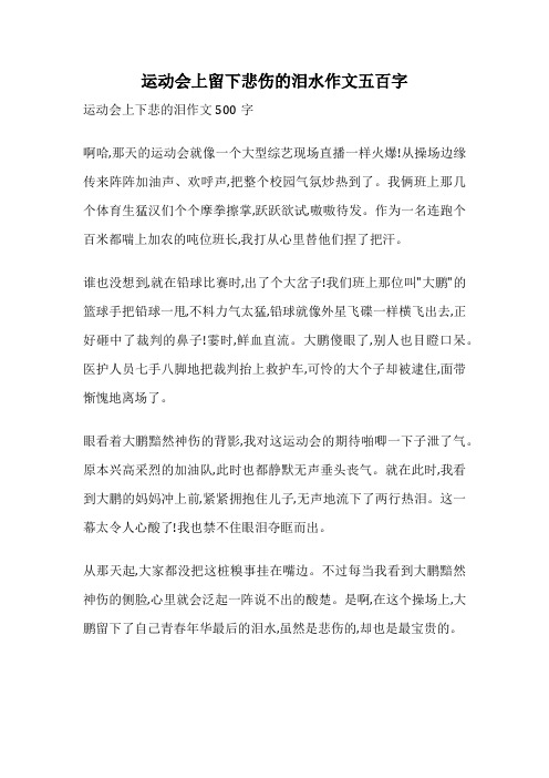 运动会上留下悲伤的泪水作文五百字