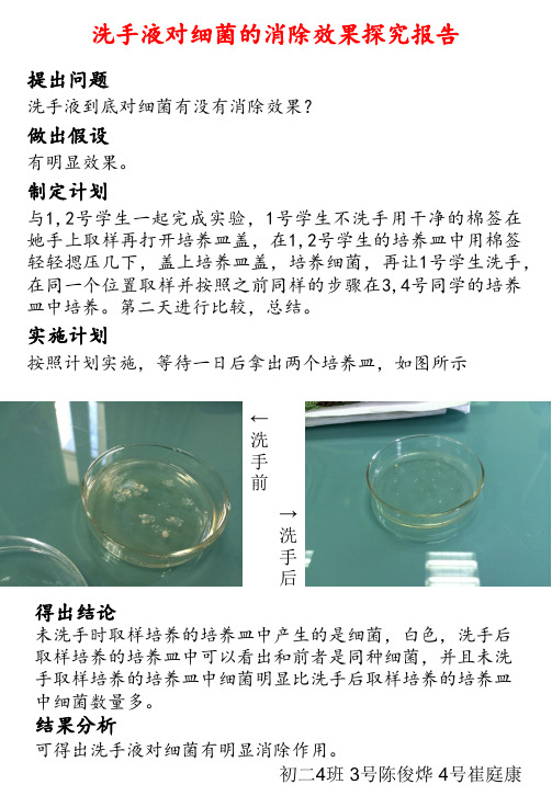 洗手液对细菌的消除效果探究报告