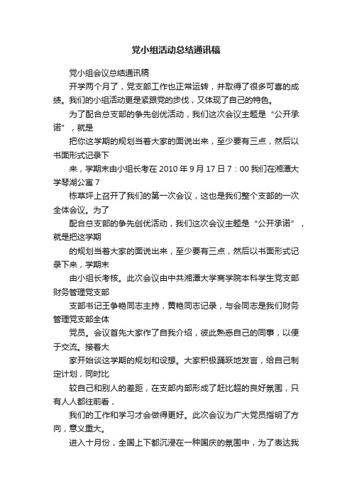 党小组活动总结通讯稿