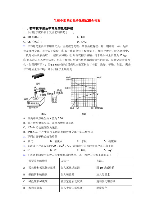 生活中常见的盐培优测试题含答案