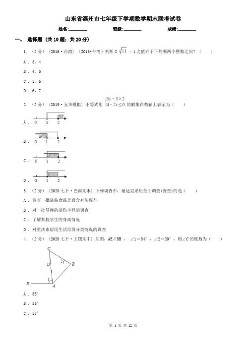 山东省滨州市七年级下学期数学期末联考试卷