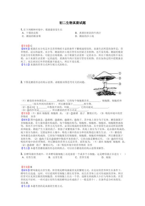 初二生物真菌试题
