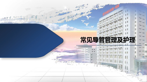 导管的管理及护理