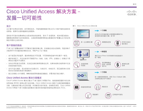 思科统一接入解决方案 概览