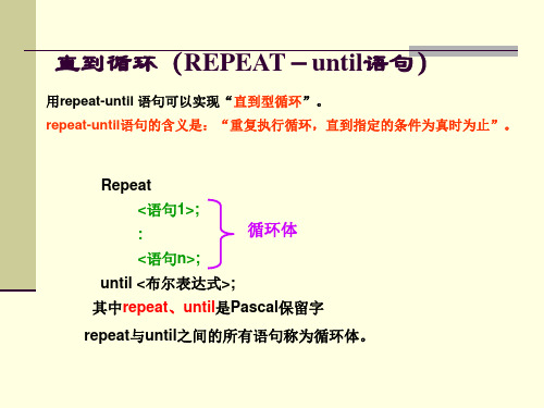 2013信息奥赛第十一次课(循环二)