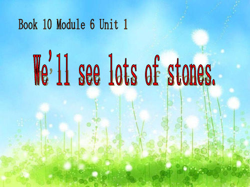 五年级英语下册Module6Unit1《We’llseelotsofverybigstones》 精选教学PPT课件2(新版)外研版(一起)